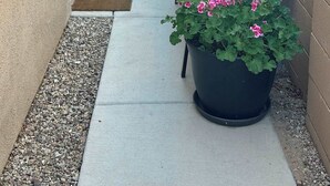 A small patio area with a bench, a potted plant, and a wooden fence.
