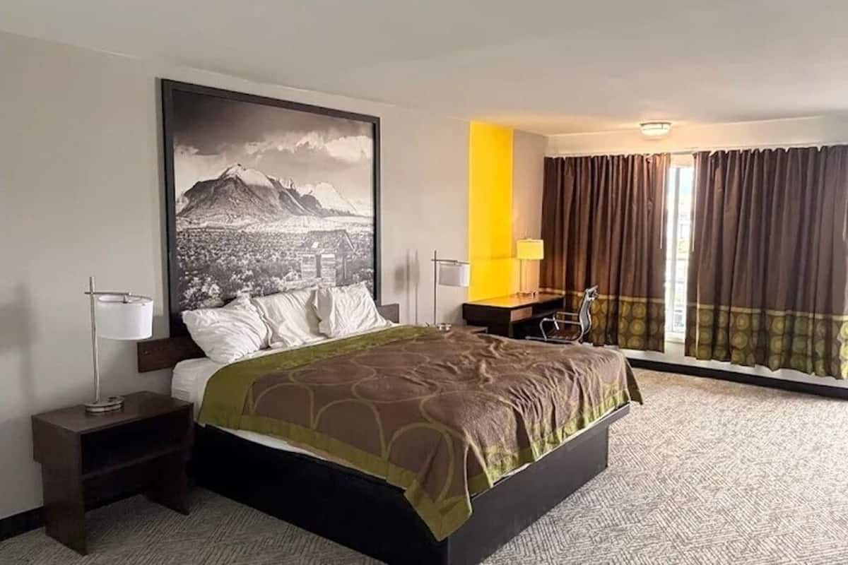 Economy Single Room, 1 King Bed, Non Smoking, Mountain View | Desk, laptop workspace, WiFi (free)