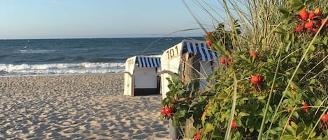Sun loungers