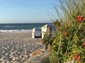 Beach - Maritime garden apartment with terrace only 300m from the beach / WLAN + parking space (Kühlungsborn)