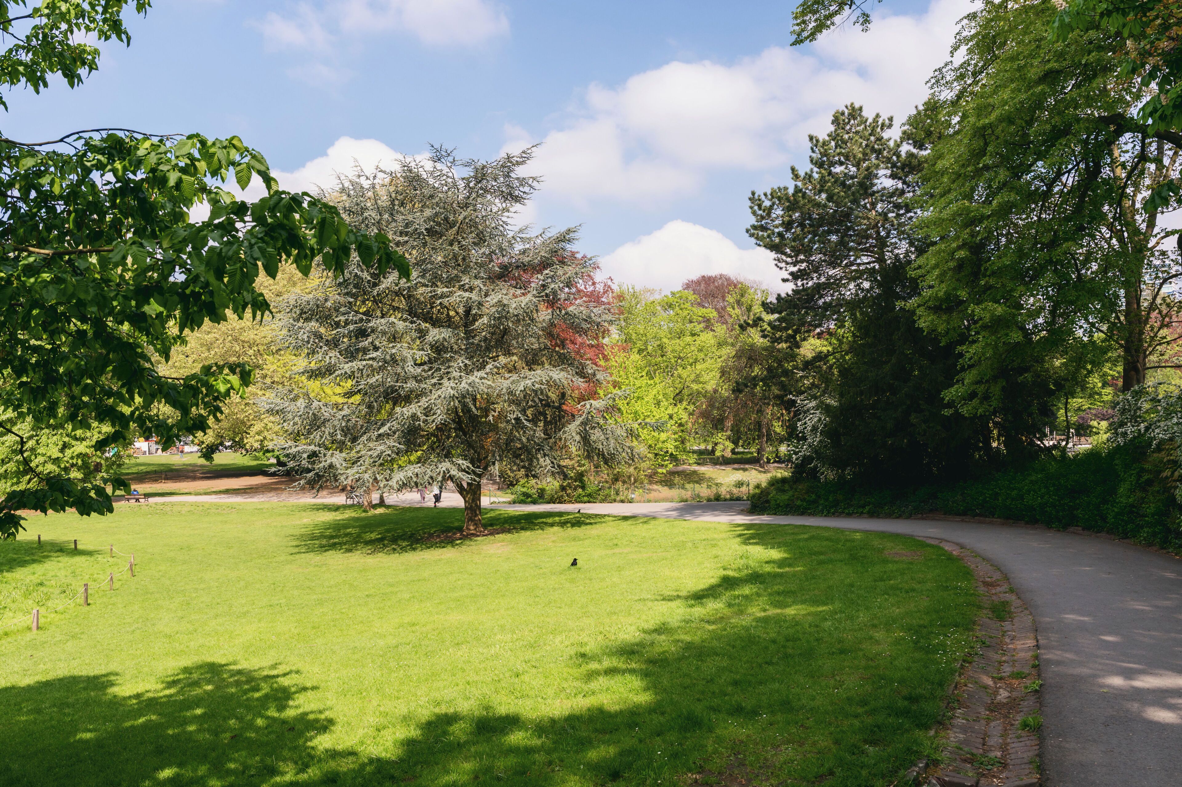 Een park met een kronkelend pad, bomen en een gazon.