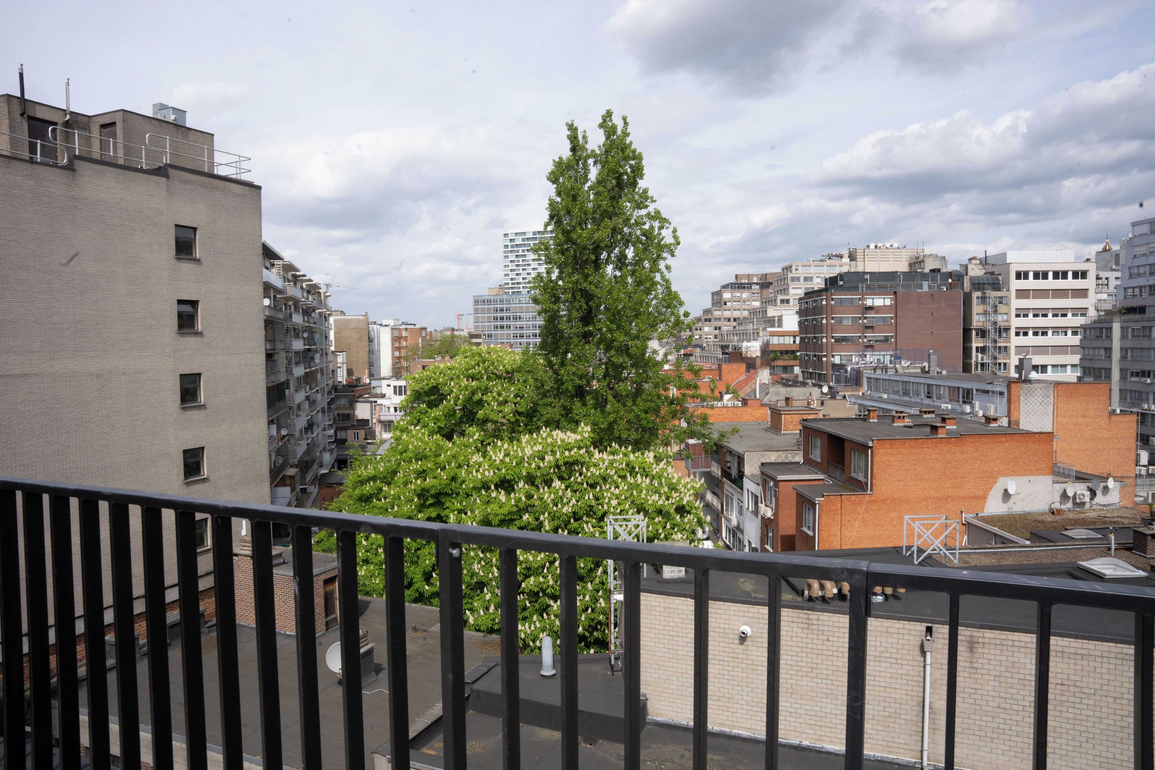 A cityscape with multiple buildings, a prominent tree, and a balcony railing.