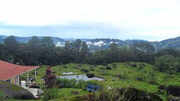 Imagen general