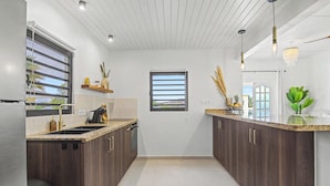 A modern kitchen with dark wooden cabinets, a white countertop, and a view through a window. - Villa Yuukas with private pool! Central location! (Willemstad)