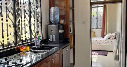 Big, Modern Family House Near City Center