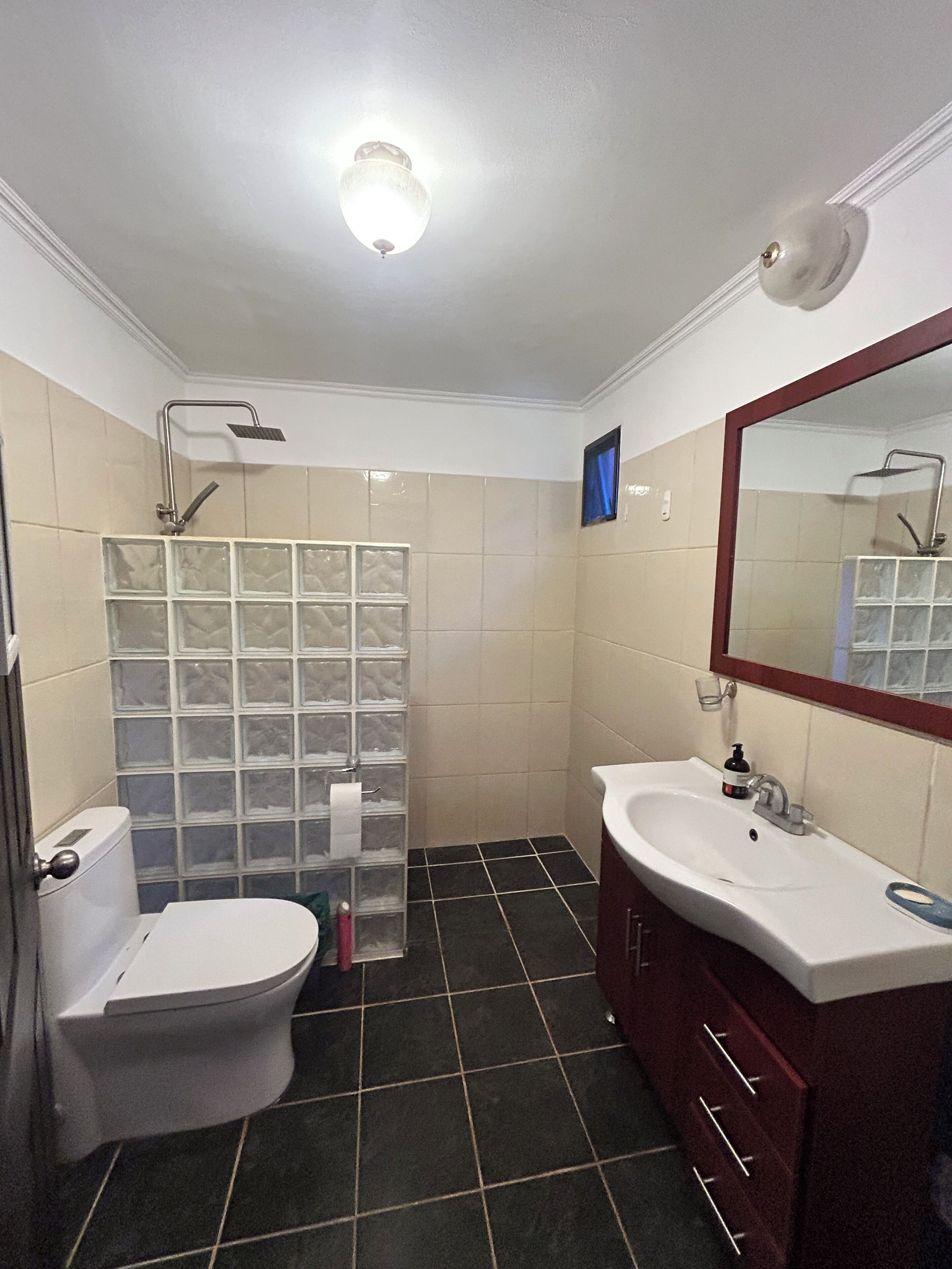 A bathroom with a toilet, a sink, a mirror, and a shower.
