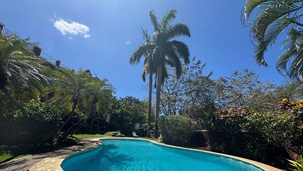A swimming pool with a curved edge, surrounded by lush greenery and palm trees.
