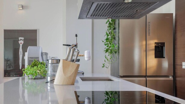 Una cocina moderna con electrodomésticos de acero inoxidable, una isla central y una planta colgante.