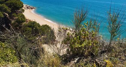 We Are Nature" Home with seaview near Natural Park