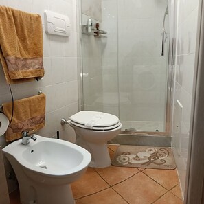 Een douche, een haardroger, een bidet, handdoeken
