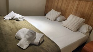 2 bedrooms, iron/ironing board, WiFi, bed sheets - La Concha Apartment (Donostia / San Sebastián)
