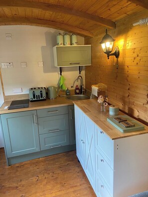 Fridge, microwave, stovetop, electric kettle - Cozy Cabin Retreat in Newtown (Newtown)