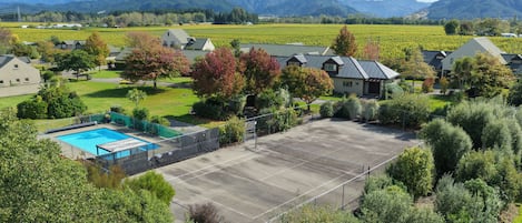 Sport court
