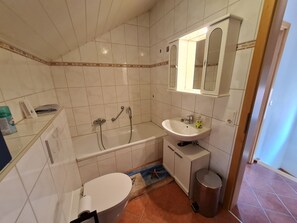 Shower, towels, toilet paper