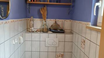 Shower, towels, toilet paper