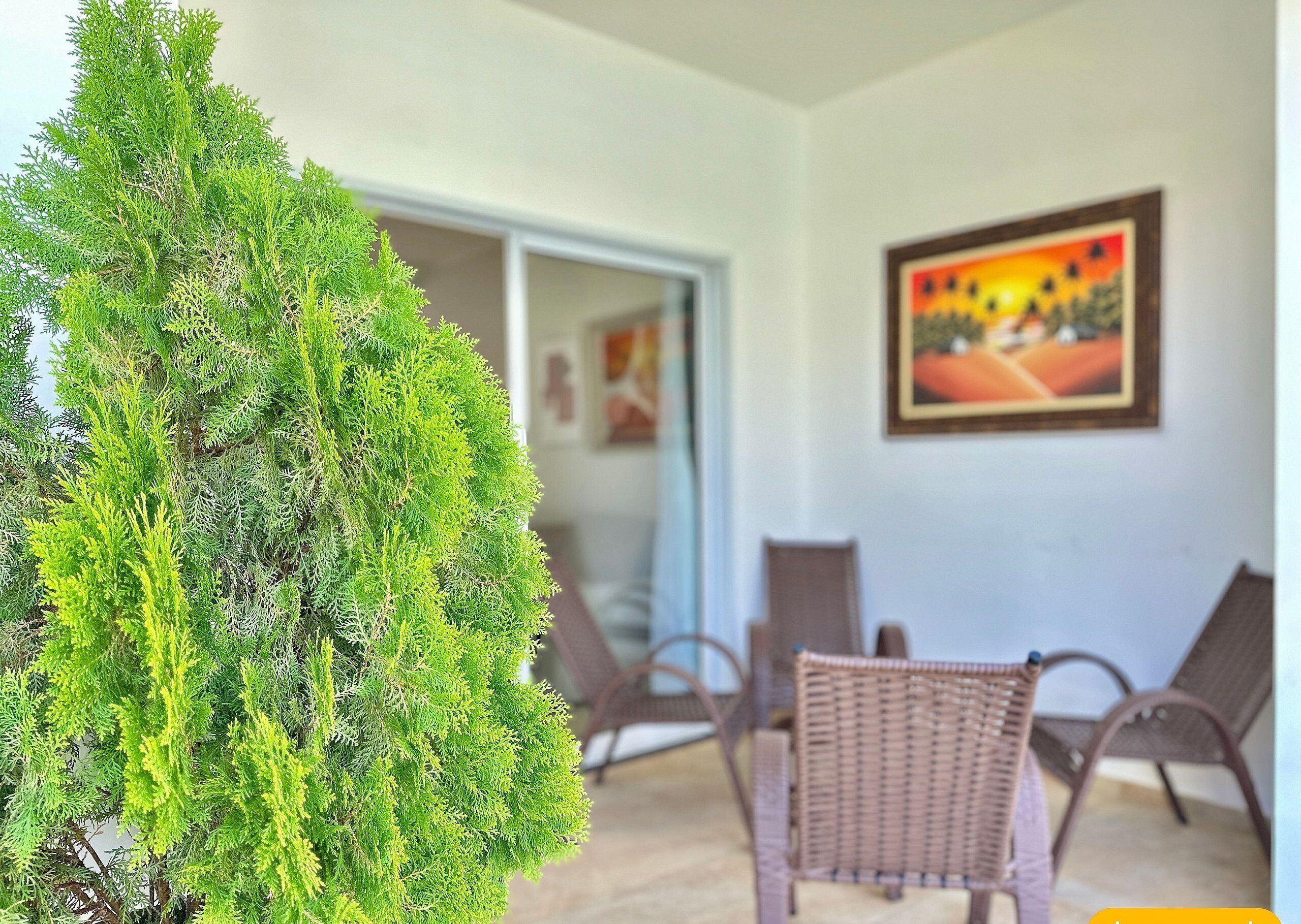 Basic Apartment | Terrace/patio