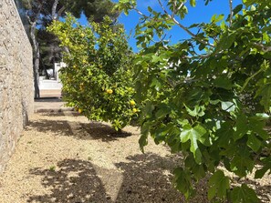 Àrea exterior de l'allotjament