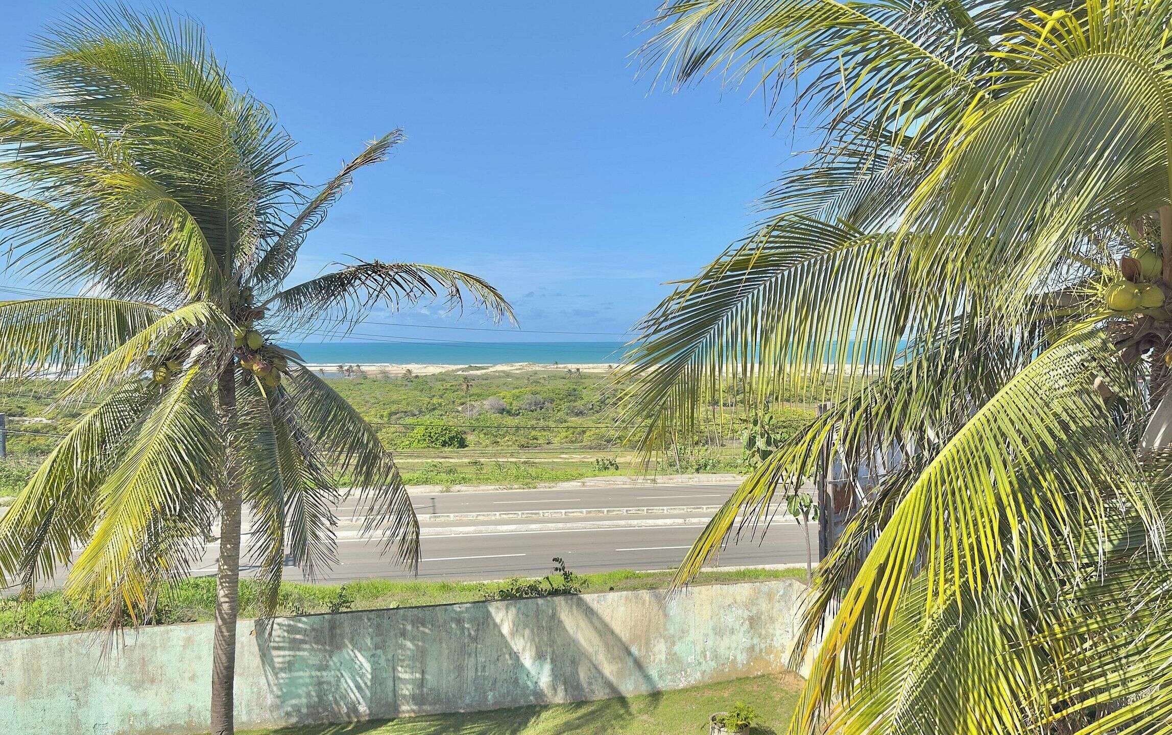A coastal view with palm trees, a road, and a beach in the distance.
