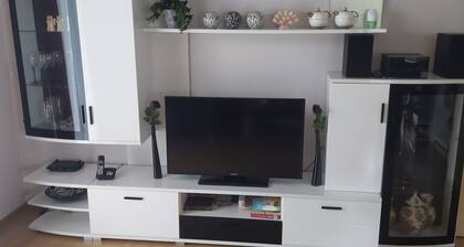 Bad Ems - Holiday apartment im Walme 1