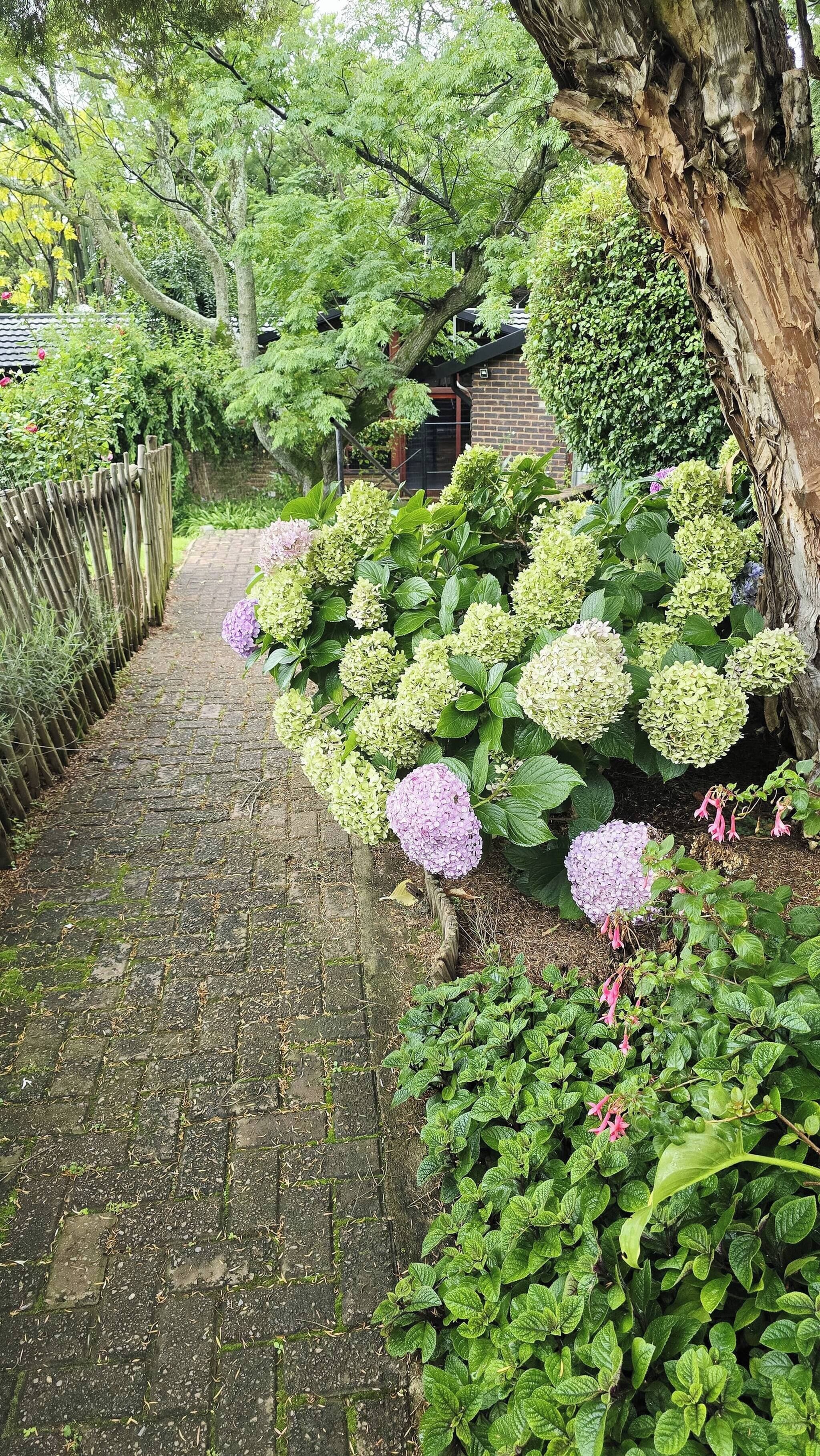 Jardín