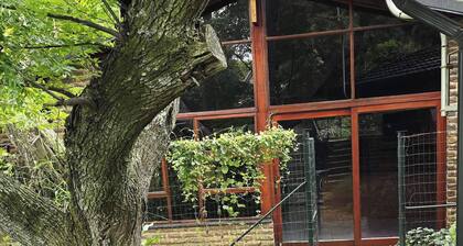 Serene 1-bedroom Apartment With Garden & Shared Pool