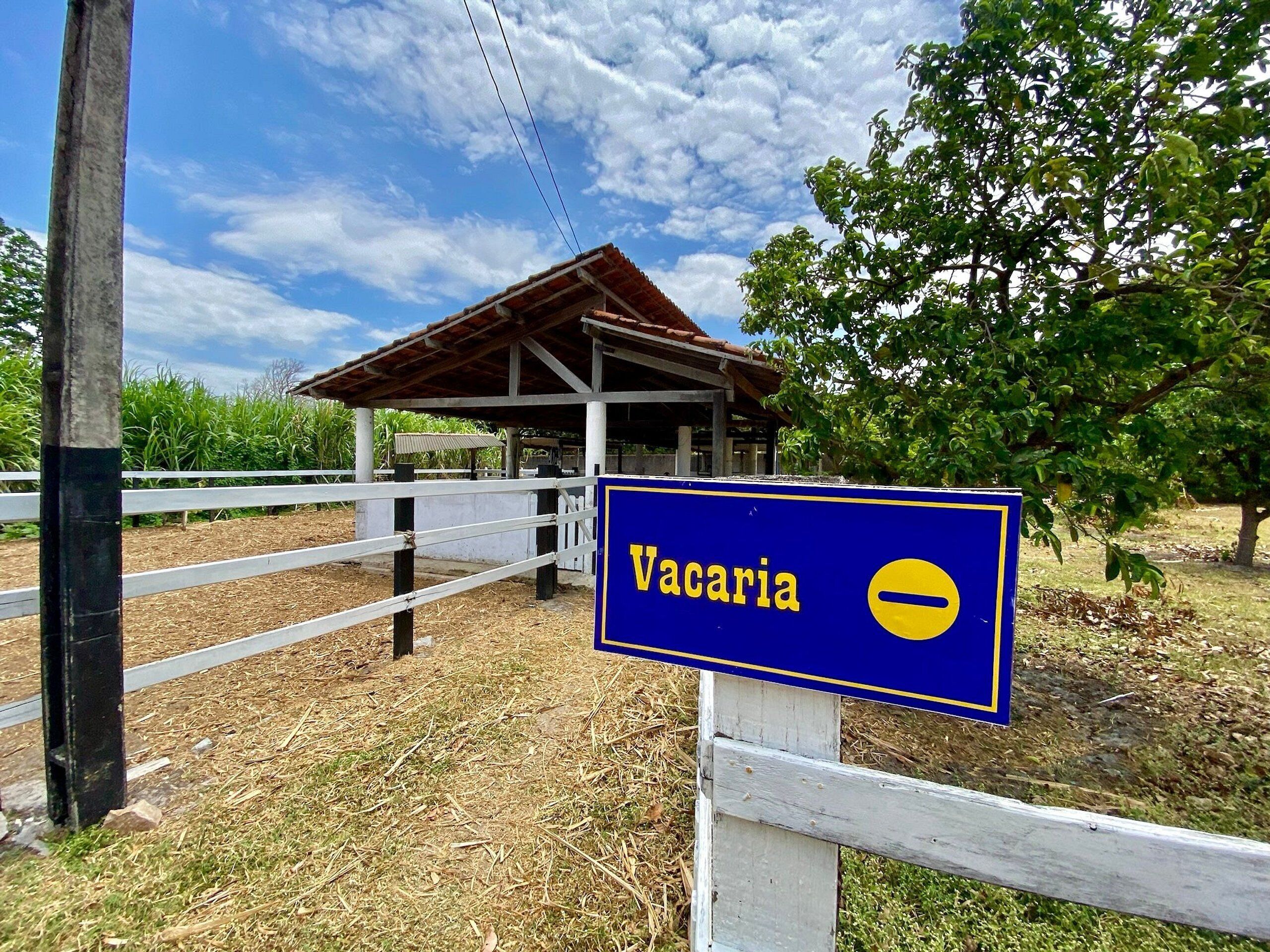 Basic Villa | Property grounds