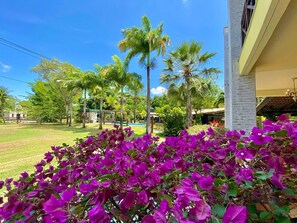 Vila | Área da propriedade