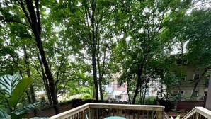 Una terraza de madera con una mesa y sillas, rodeada de grandes plantas verdes y árboles.