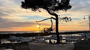 A coastal marina with boats, a large tree, and a sunset.