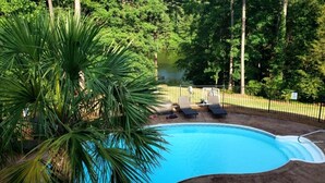 Una piscina con sillas de descanso y una palmera.