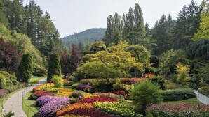 Un jardín con diversas flores y árboles, un sendero y montañas al fondo.