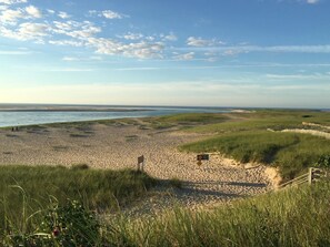 A beach with a sandy path leading to the water, surrounded by grassy dunes. - North Chatham Beachwalk -Spacious 6 bedroom walk to beach sprawling private yard (Chatham)