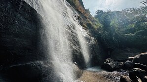 Une cascade se déversant le long d’une falaise rocheuse, entourée d’une végétation luxuriante.