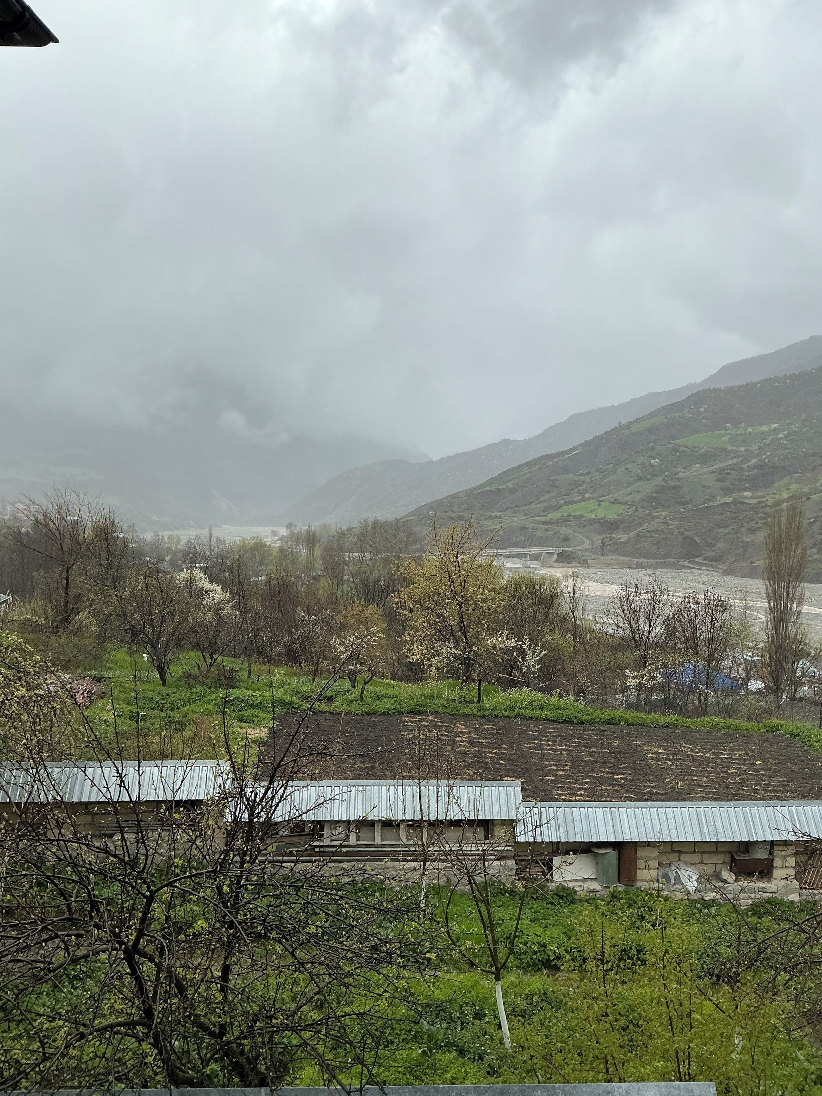منوع
