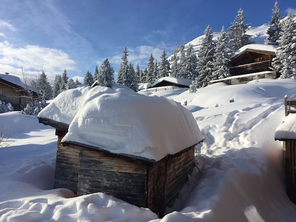 Une cabane en bois dont le toit est recouvert de neige, entourée d’arbres également enneigés et sous un ciel bleu dégagé.