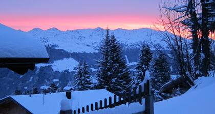 Zillertal Mountainbase 1800 in the middle of the Kaltenbach ski and hiking area