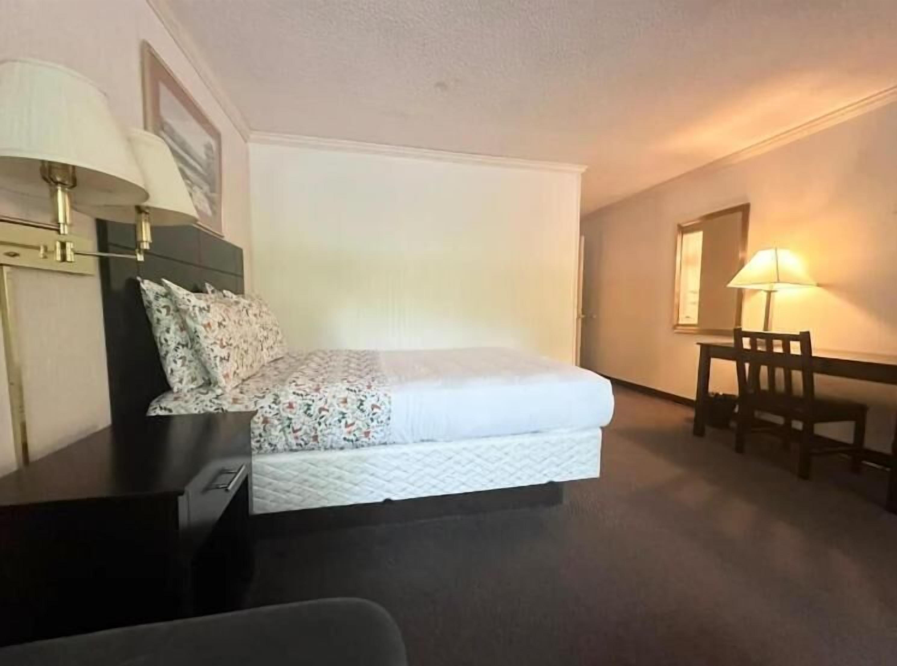 A hotel room with a bed, bedside table, lamp, chair, and a desk.