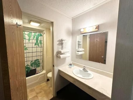 Free toiletries, hair dryer, towels, soap. Kiteville Phoenixville
