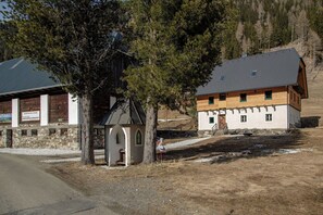 Exterior - Detox Almhaus - chalet in a unique, secluded location (Pusterwald)