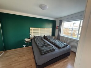 WiFi, bed sheets - Fantastic 1 bedroom apartment in downtown Reykjavík (Reykjavík)