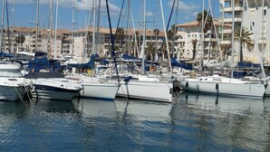 Un port de plaisance où sont amarrés de nombreux voiliers, entouré d’immeubles dotés de balcons et de palmiers.