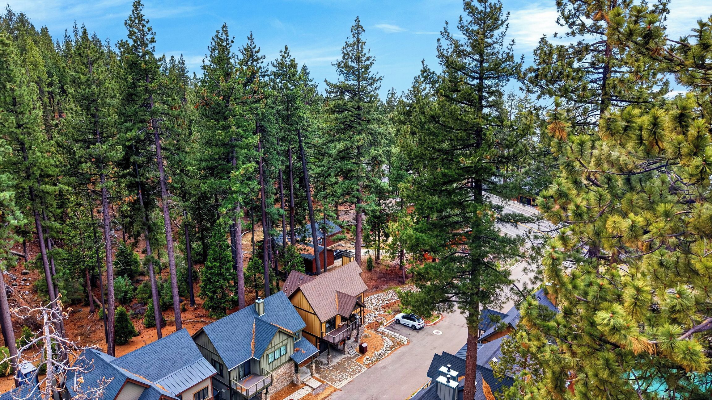 A residential area with multiple houses surrounded by dense pine trees.