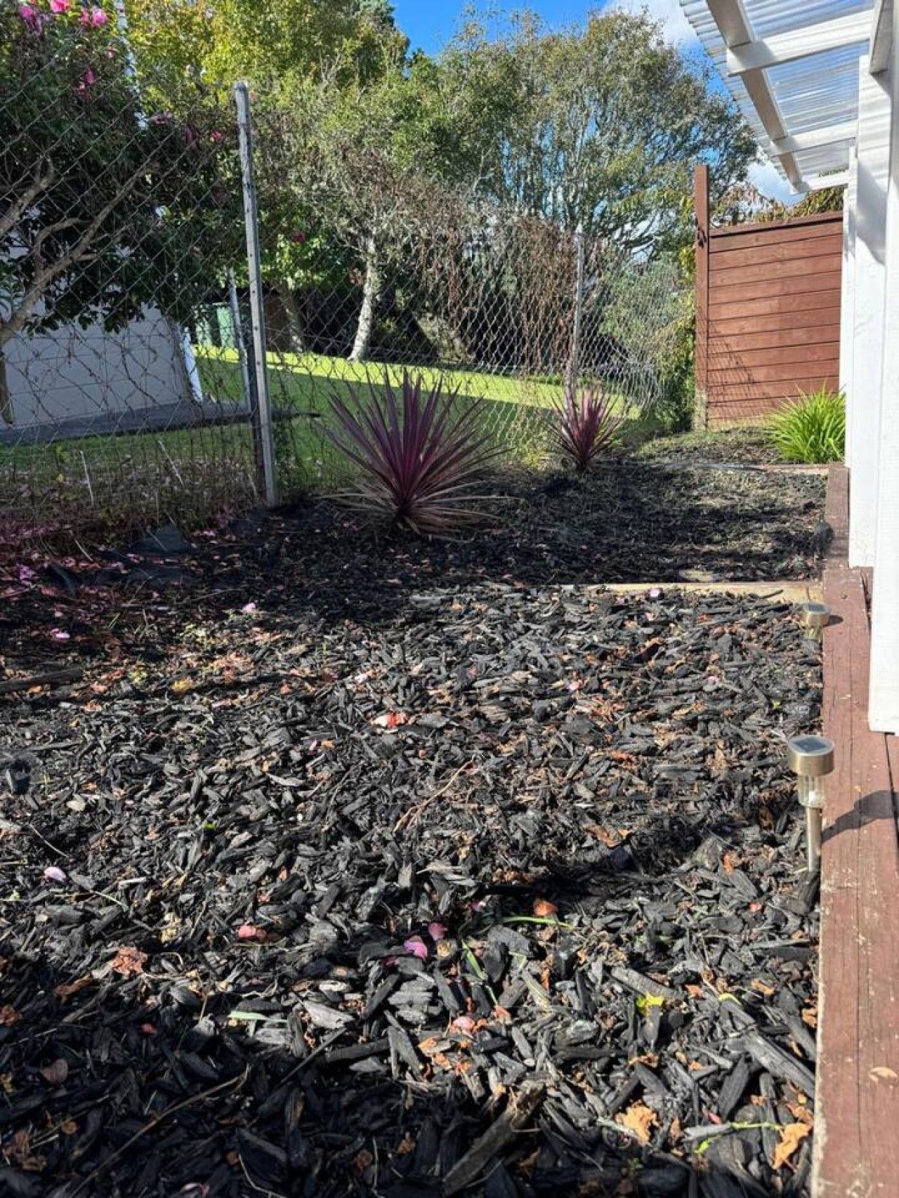 Un'area giardino con pacciamatura, una recinzione in legno e alcune piante.