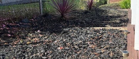 Un'area giardino con pacciamatura, una recinzione in legno e alcune piante.