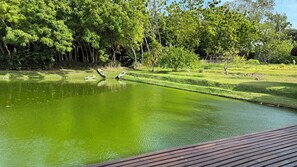 Parco della struttura