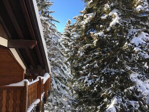 Property grounds - View Mont Blanc | Parking | 0.6km from Center (Courmayeur)