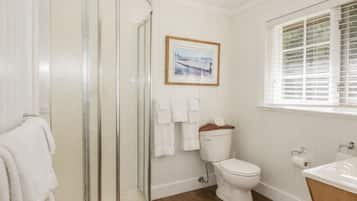 Shower, towels, soap, toilet paper