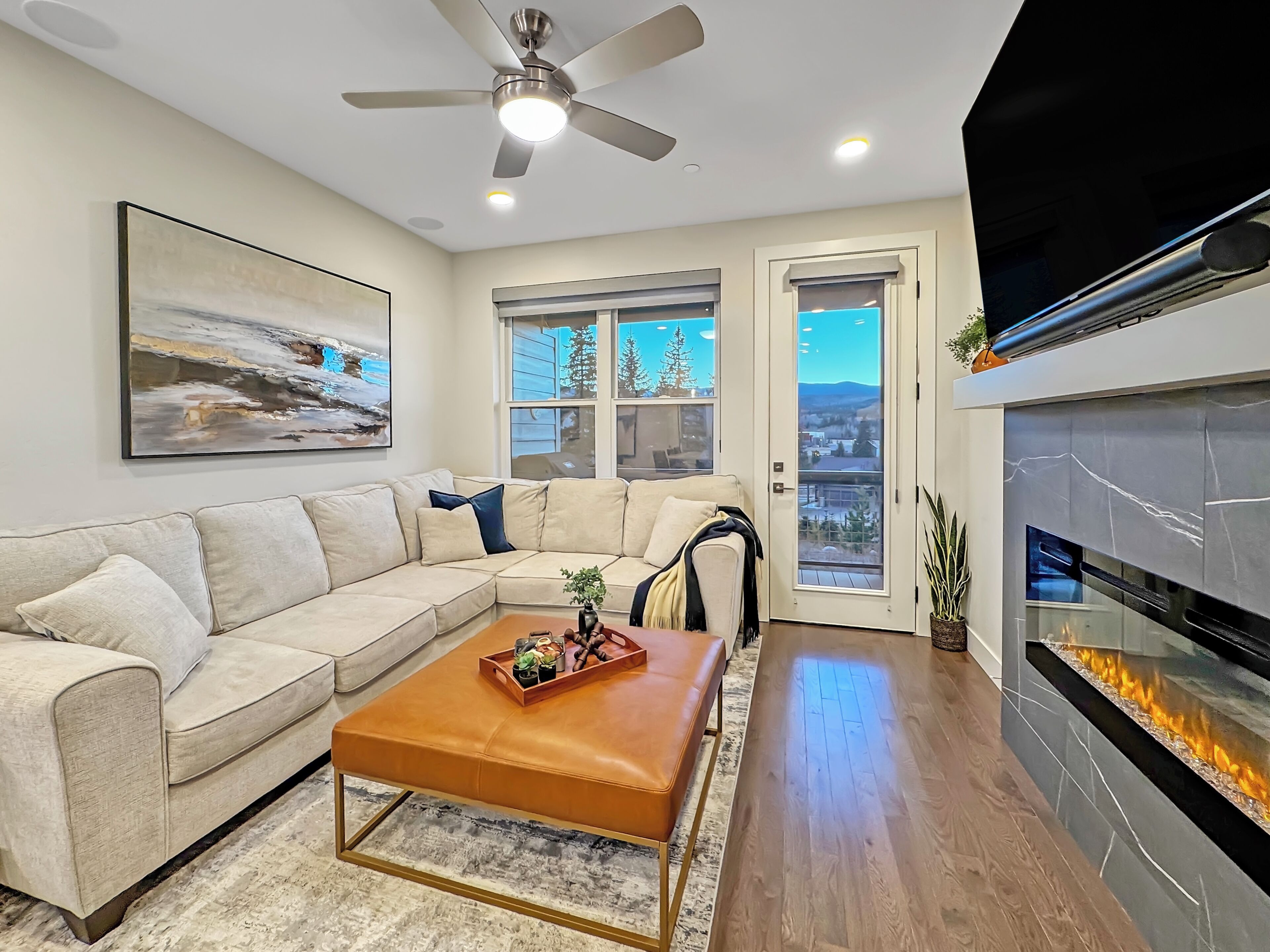 TV, fireplace