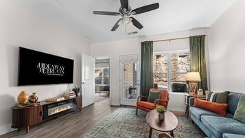 Smart TV, fireplace, books