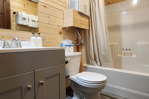 Cozy Cabin stay in Victor